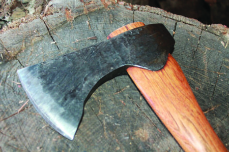 The head of a hatchet on top of a stump